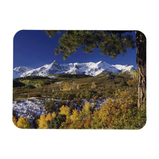 San Juan-Gebirge und Aspen-Bäume in Fallfarbe Magnet (Horizontal)