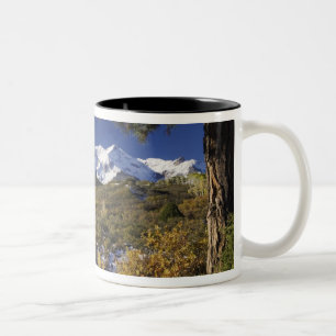 San Juan-Gebirge und Aspen-Bäume in Fallfarbe Zweifarbige Tasse