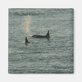 San Juans Magnet