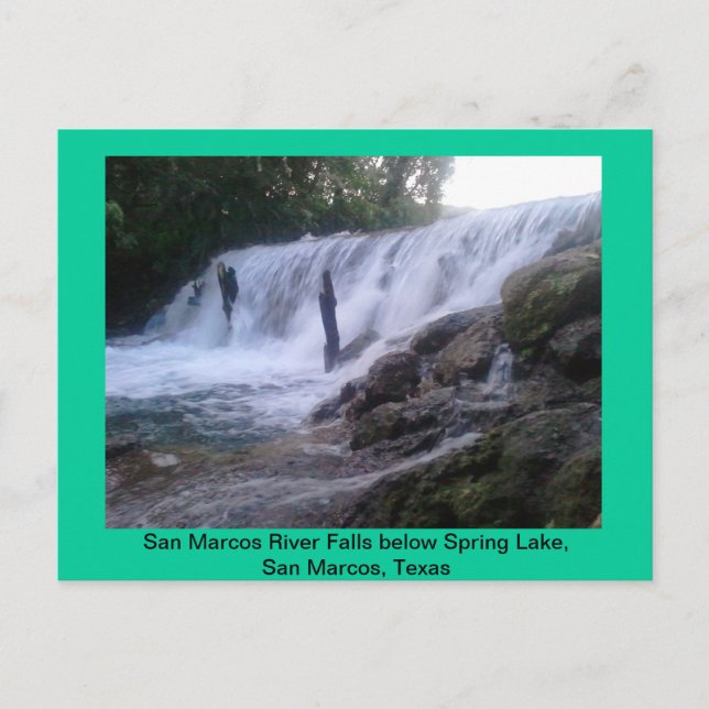 San Marcos River Falls Post Card Postkarte (Vorderseite)