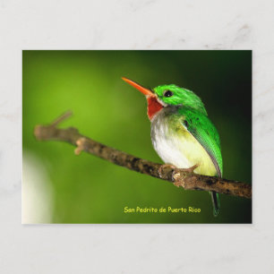 San Pedrito de Puerto Rico Postcard Postkarte