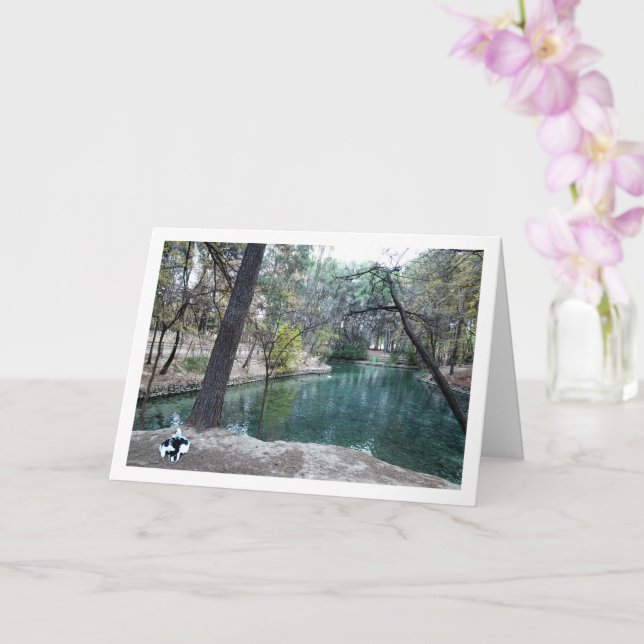 San Vicente Park, Lliria, Valencia, Spanien Karte (Orchidee)