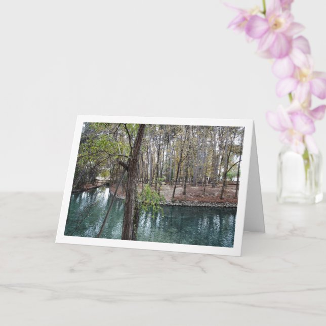 San Vicente Park, Lliria, Valencia, Spanien Karte (Orchidee)