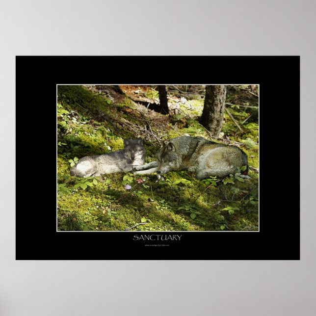 SANCTUARY Art Poster (Vorne)