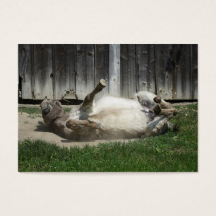 Sand Bathing Donkey