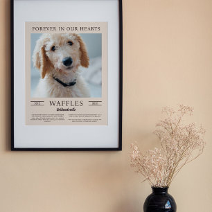 Sand & Brauner Hund Gedenkportrait Foto Poster