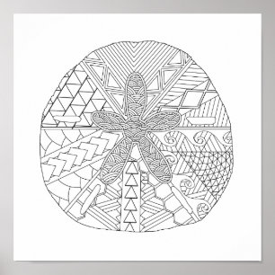 Sand Dollar Aduloring Coloring Poster