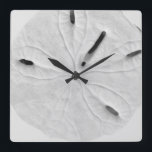 Sand Dollar Beach Coastal Black White Trendy Cool Quadratische Wanduhr<br><div class="desc">Designed with image of sand dollar in the background,  this is perfect for beach house decor or Christmas,  holiday gifts!</div>