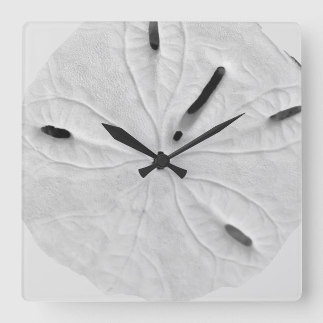 Sand Dollar Beach Coastal Black White Trendy Cool Quadratische Wanduhr (Vorderseite)