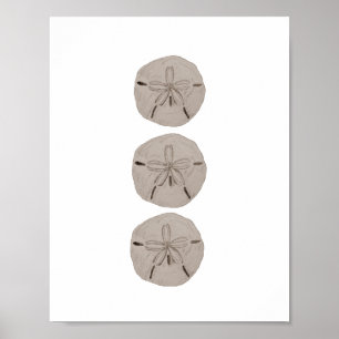 Sand Dollar Beach Deco Aquarellbilder Poster