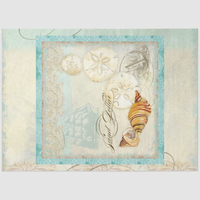 Sand Dollar Beach Seashells Art Seidenpapier (Vorderseite)