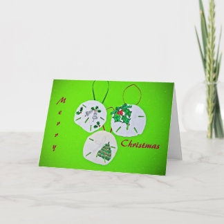 Sand Dollar Christmas Greeting Feiertagskarte