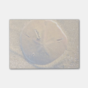 Sand-Dollar deckte auf Strand Hilton Head Island Post-it Klebezettel