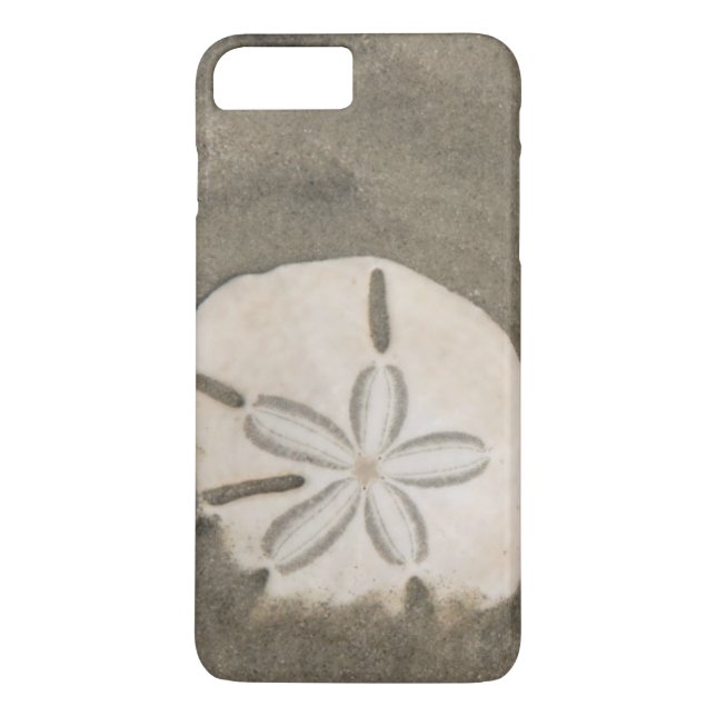 Sand-Dollar (Echinarachnius parma) Case-Mate iPhone Hülle (Rückseite)