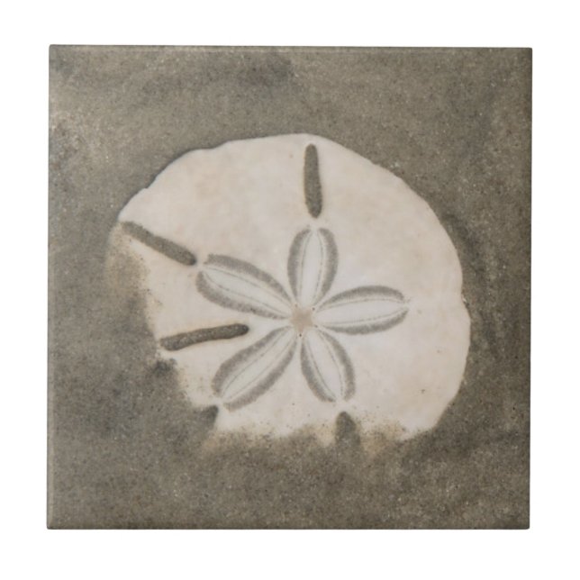 Sand-Dollar (Echinarachnius parma) Fliese (Vorderseite)