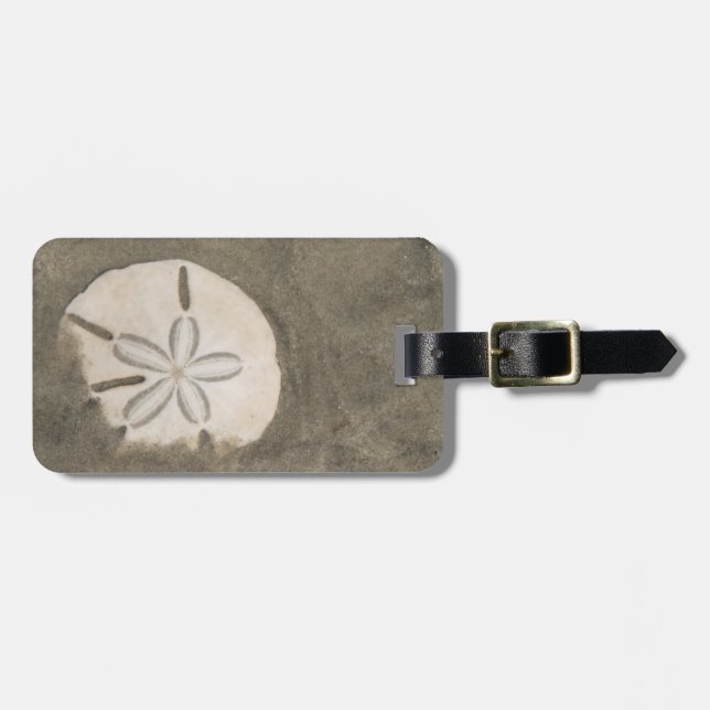 Sand-Dollar (Echinarachnius parma) Gepäckanhänger (Vorderseite horizontal)