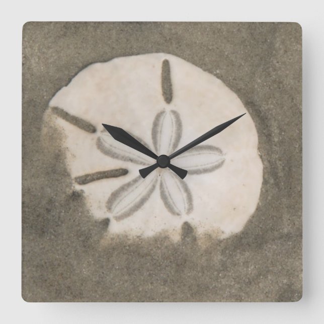 Sand-Dollar (Echinarachnius parma) Quadratische Wanduhr (Vorderseite)
