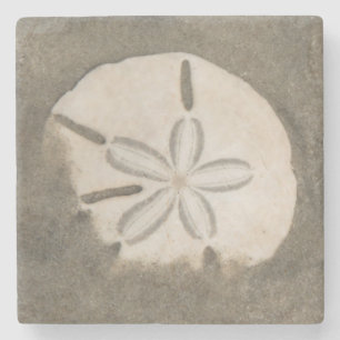 Sand-Dollar (Echinarachnius parma) Steinuntersetzer