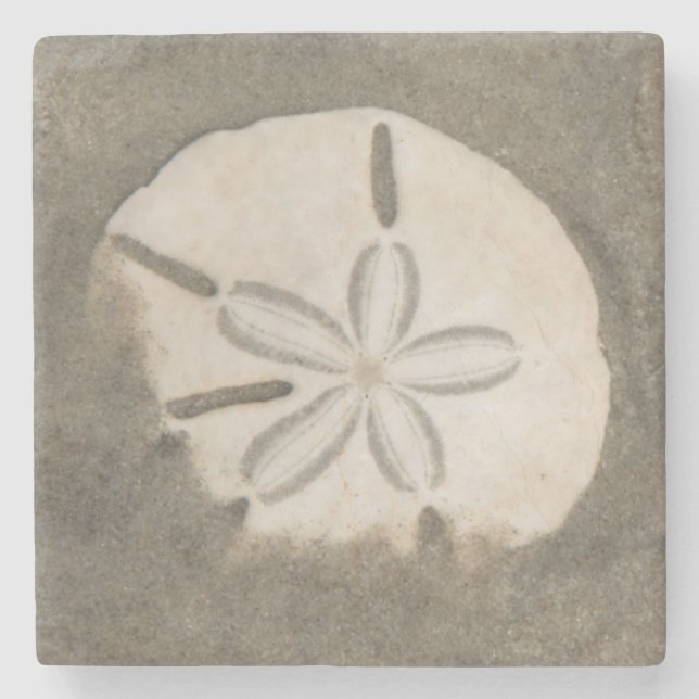 Sand-Dollar (Echinarachnius parma) Steinuntersetzer (Vorderseite)