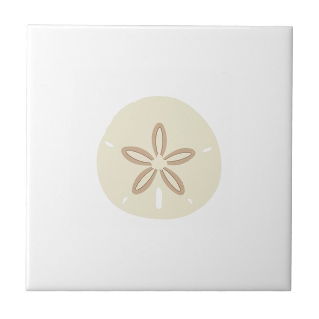 SAND DOLLAR FLIESE (Vorderseite)