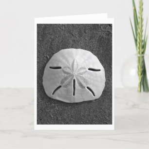 Sand-Dollar-Karte (schwarz und weiß) Karte