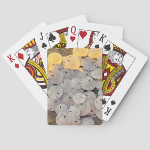 Sand-Dollar-Klassiker-Spielkarten Spielkarten