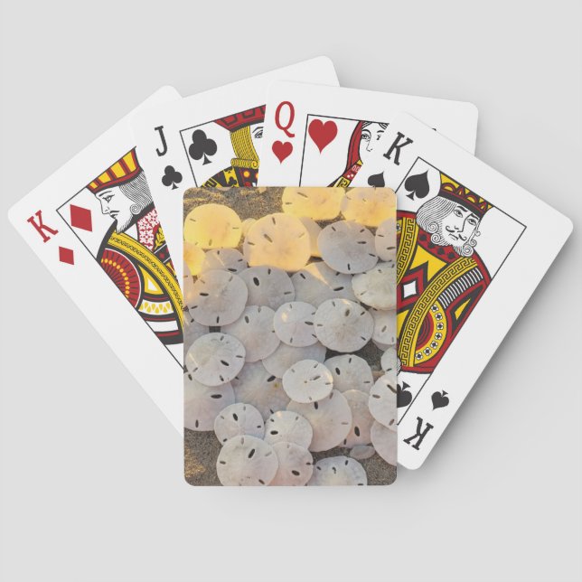 Sand-Dollar-Klassiker-Spielkarten Spielkarten (Rückseite)