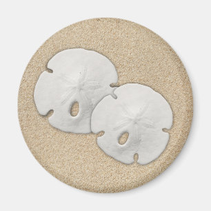 Sand Dollar Magnet