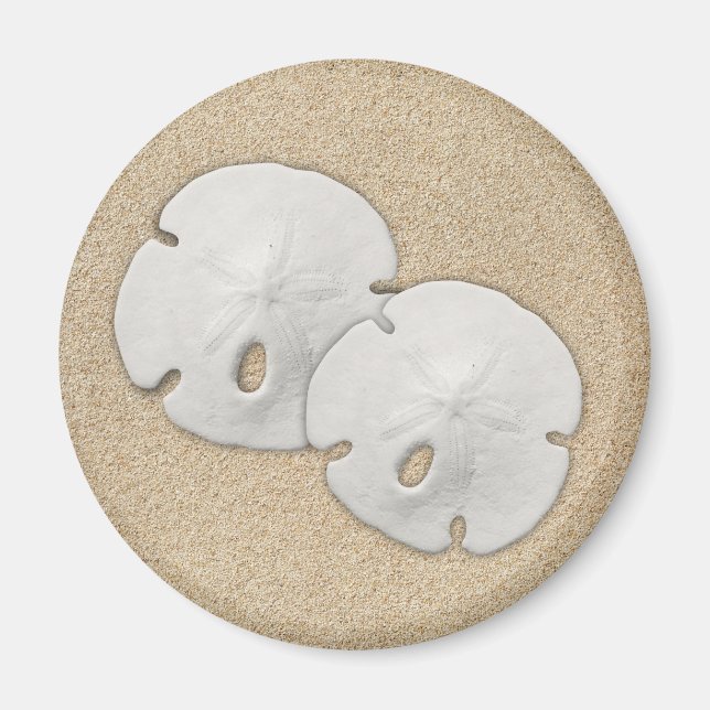 Sand Dollar Magnet (Vorne)