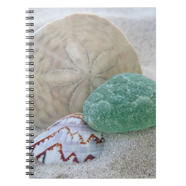 Sand Dollar, Muschel und Meerglas - Notebook Notizblock (Vorderseite)