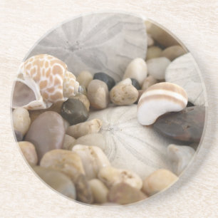 Sand-Dollar-Muscheln und Kiesel Sandstein Untersetzer