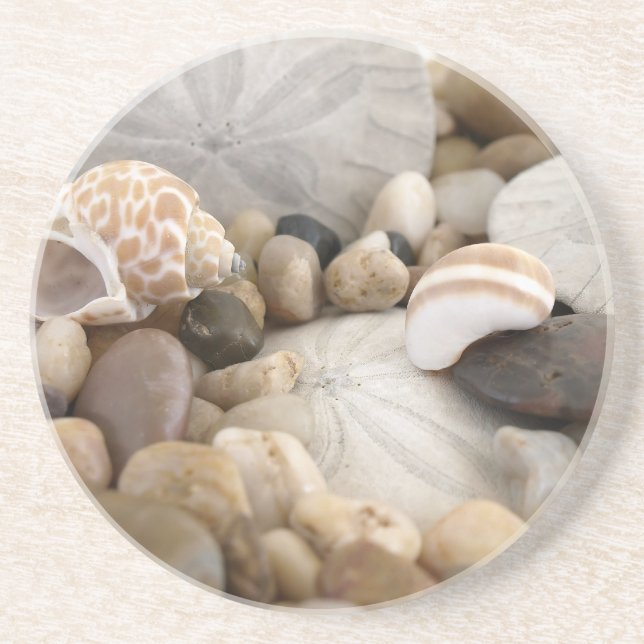 Sand-Dollar-Muscheln und Kiesel Sandstein Untersetzer (Vorne)