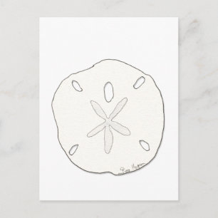 Sand Dollar Postkarte