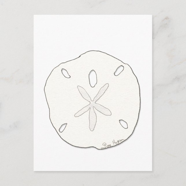 Sand Dollar Postkarte (Vorderseite)