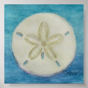 Sand Dollar Print Poster