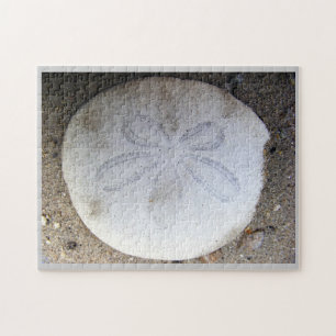 Sand-Dollar Puzzle