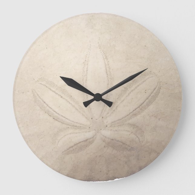 Sand Dollar Round Clock Große Wanduhr (Vorderseite)