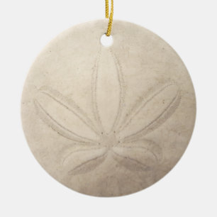 Sand-Dollar-runde Verzierung Keramikornament