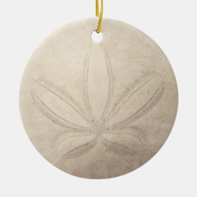 Sand-Dollar-runde Verzierung Keramikornament (Vorne)
