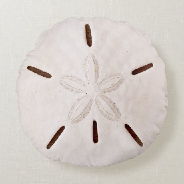 Sand-Dollar Rundes Kissen (Vorderseite)