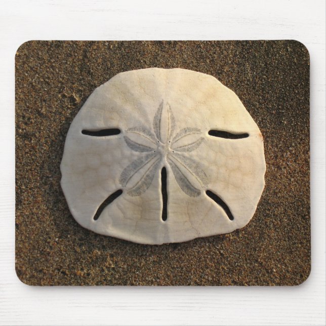 Sand Dollar Sea Muschel Sand Beach Mousepad (Vorne)