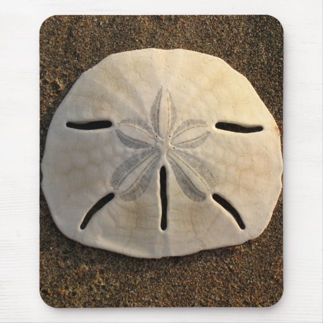 Sand Dollar Sea Muschel Sand Beach Mousepad (Vorne)