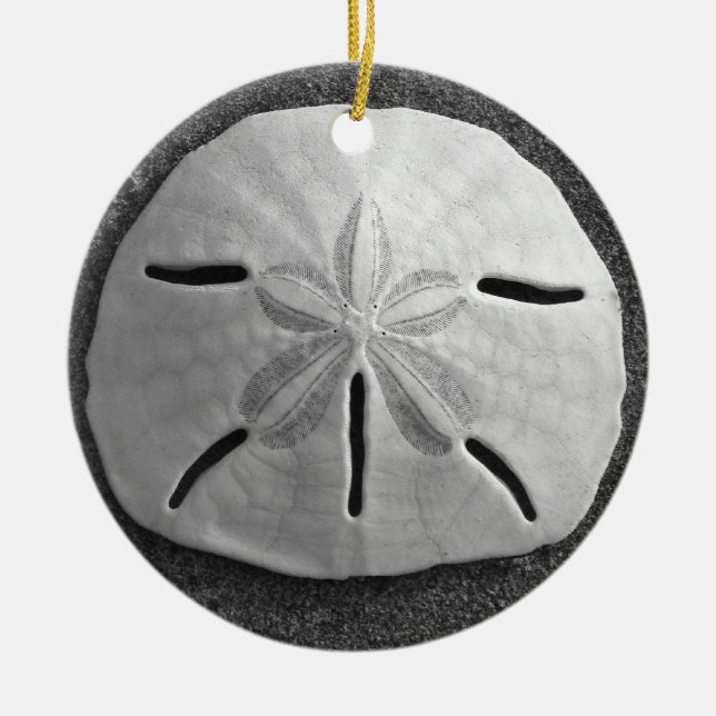 Sand Dollar Seashell Beach Ornament Pendant (Vorne)