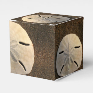 Sand Dollar Seashell Gastgeschenk Custom Geschenkb Geschenkschachtel