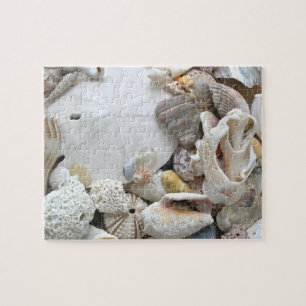 Sand Dollar Seashells Puzzle