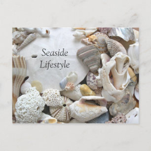 Sand Dollar Seaside Lifestyle New Addres Ankündigungspostkarte
