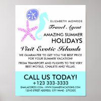 Sand Dollar, Starfish, Seepferd, Travel Agent