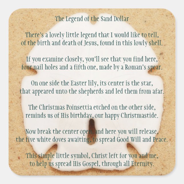 Sand-Dollar-Sticker Quadratischer Aufkleber (Vorderseite)