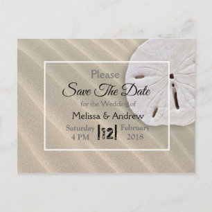 Sand Dollar Themed Wedding rettet das Datum Ankündigungspostkarte