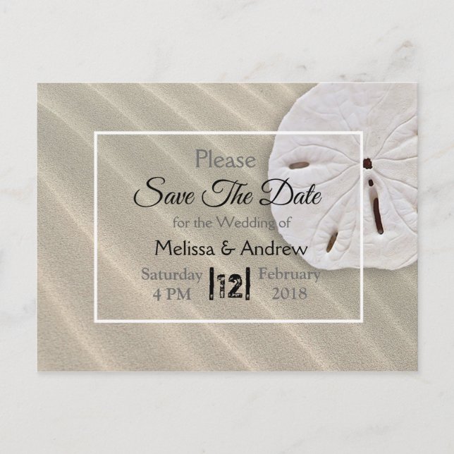 Sand Dollar Themed Wedding rettet das Datum Ankündigungspostkarte (Vorderseite)